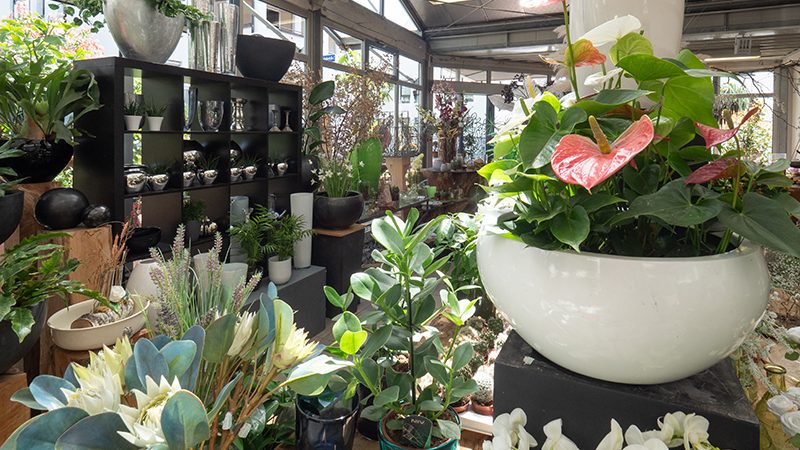Blumen Heimerdinger, Leinfelden-Echterdingen