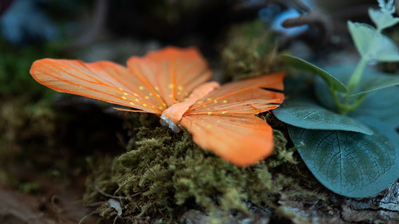 Blumen Heimerdinger, Leinfelden-Echterdingen