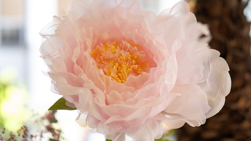 Blumen-Heimerdinger, Leinfelden-Echterdungen